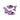 Fyor BSS 054 Mule #color_l-purple