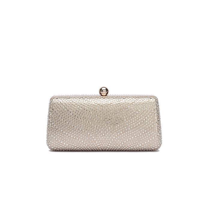 Premium Clasp-Closure Shimmer Clutch Bag AD 193